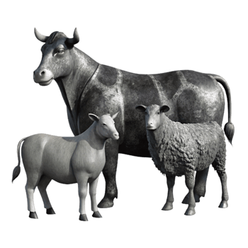 beautiful modern Farm Animals Silhouettes Black and White Isolated png