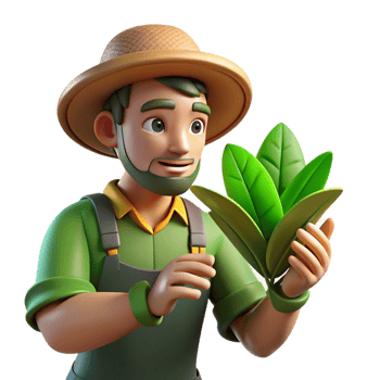 wonderful rustic Farmer Examining Plant Leaves Close Up Cutout premium png