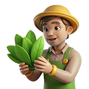 beautiful modern Farmer Examining Plant Leaves Close Up Cutout genuine png