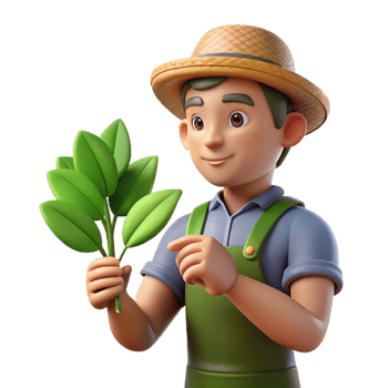 dramatic minimalist Farmer Examining Plant Leaves Close Up Cutout high resolution png