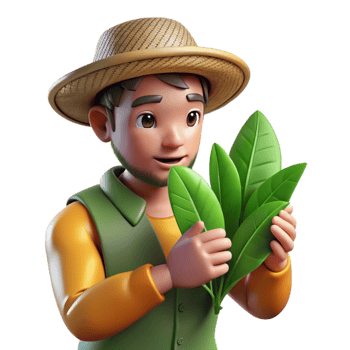 Farmer Examining Plant Leaves Close Up Cutout png