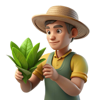 stunning classic Farmer Examining Plant Leaves Close Up Cutout original png