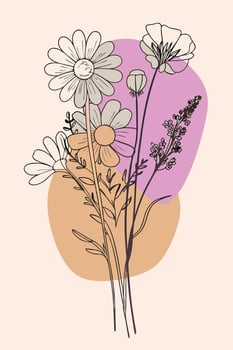 A flower is drawn vector