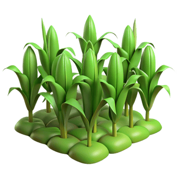 serene vintage Field of Corn Green Stalks Isolated authentic png