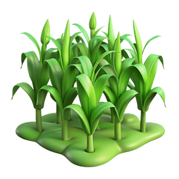 impressive vintage Field of Corn Green Stalks Isolated png
