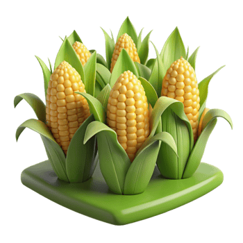 dramatic modern Field of Corn Transparent Background authentic png