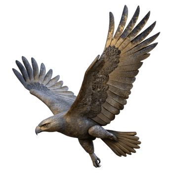 elegant traditional Flying Eagle Silhouette Side Angle Transparent Background premium png