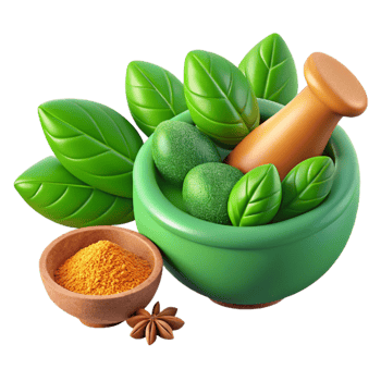 stunning artistic Fresh Herbs and Spices Green and Vibrant Isolated premium png