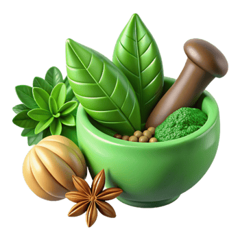 Fresh Herbs and Spices Green and Vibrant Isolated png