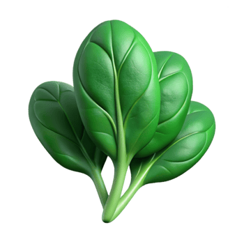 dramatic vintage Fresh Spinach Isolated Cutout Dark Green authentic png