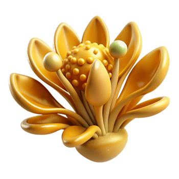 stunning contemporary Genlisea Aurea Golden Bladderwort Trapping Bladders Cutout Isolated exclusive png