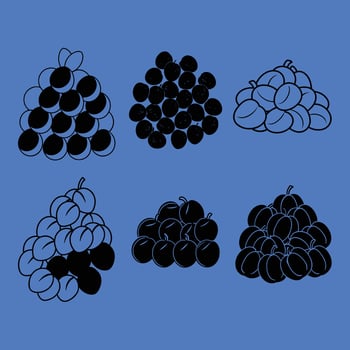 Elegant Dried Apricots Illustration . vector