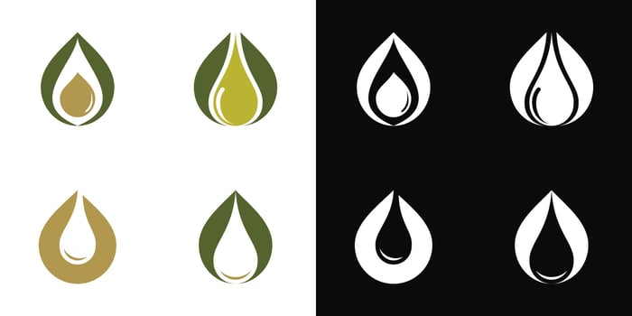Set of abstract olive oil logo design template. Premium vector