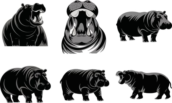 set of Hippopotamus Silhouettes vector