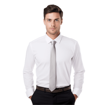 man wearing a white shirt and a gray tie isolated on transparent background png