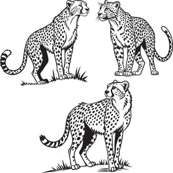 Black and White Cheetah Illustration design vector