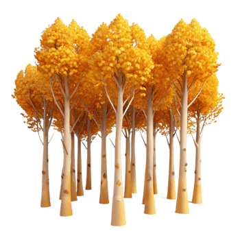 beautiful contemporary A Grove of Aspen Trees Golden Leaves In 4K png