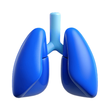 dramatic abstract Healthy Lungs Icon with Blue Lungs Transparent Background exclusive png