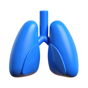 magnificent artistic Healthy Lungs Icon with Blue Lungs Transparent Background genuine png