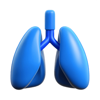 beautiful classic Healthy Lungs Icon with Blue Lungs Transparent Background original png