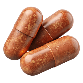 extraordinary vintage Herbal Supplement Capsules Brown Color exclusive png