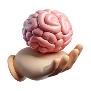 beautiful classic Human Hand Holding Brain Model Transparent original png