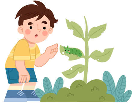 Illustration of Boy Observing Caterpillar on Plant png