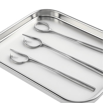 Stainless Steel Cutlery Set with Forks and Spoons png
