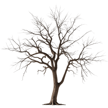 Dry Tree Perfect for Environmental Seasonal Designs png