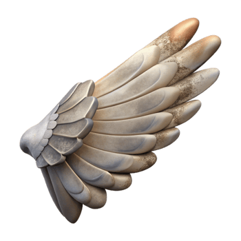 extraordinary minimalist Injured Bird Wing X Ray View Transparent Background genuine png