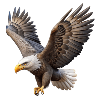 dramatic artistic A Majestic Bald Eagle Soaring Through The detailed png