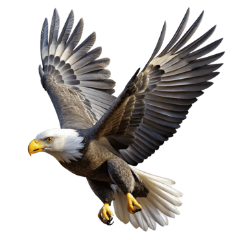 magnificent traditional A Majestic Bald Eagle Soaring Through The authentic png