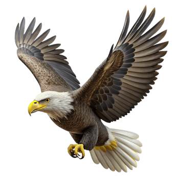 serene creative A Majestic Bald Eagle Soaring Through The premium png