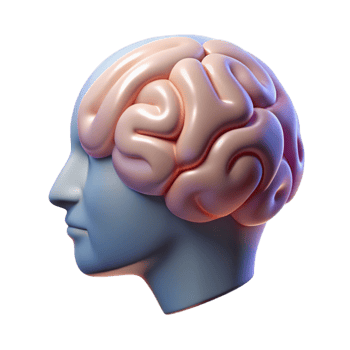 extraordinary classic Mental Health Icon with Brain Silhouette Transparent Background genuine png