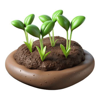 magnificent contemporary Microgreens Growing in Soil Close Up Transparent Background png