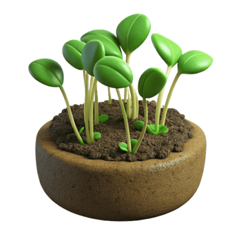 magnificent creative Microgreens Growing in Soil Close Up Transparent Background original png