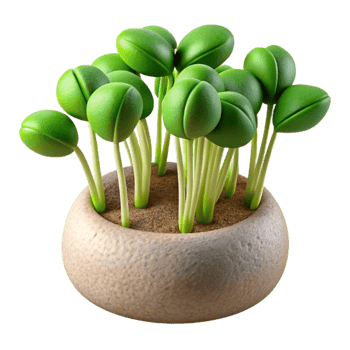 impressive minimalist Microgreens Sprouts Close Up Transparent Background high quality png
