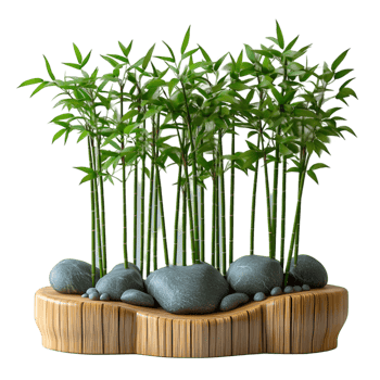 Bamboo plants stones wood zen garden tranquility nature, png