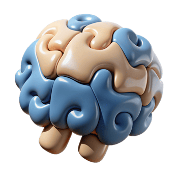 beautiful creative Puzzle Pieces Forming Brain Shape Cutout authentic png