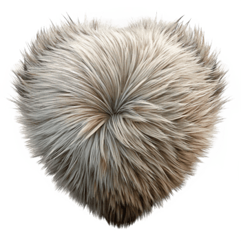 wonderful contemporary Realistic Animal Fur Texture Cutout high resolution png