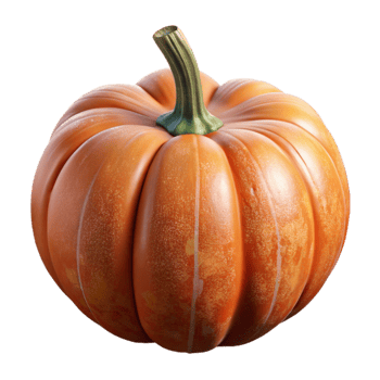 wonderful creative Ripe Pumpkin Front View Cutout exclusive png