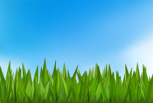 Grass sky background. Green blue spring field . Summer cloudy sunny landscape. Nature meadow, garden plant lawn. Fresh air day park land, easter farm hill grassland. Realistic ray leaf texture vector
