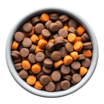 Brown Orange Pet Food Kibble in Bowl Top View dog cat dry feed meal diet tasty black puppy treat png