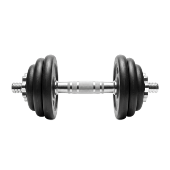 Dumbbells designed for weightlifting and muscle training. png