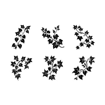 Elegant velvet vine graphic perfect for floral designs, branding, and digital art projects. vector