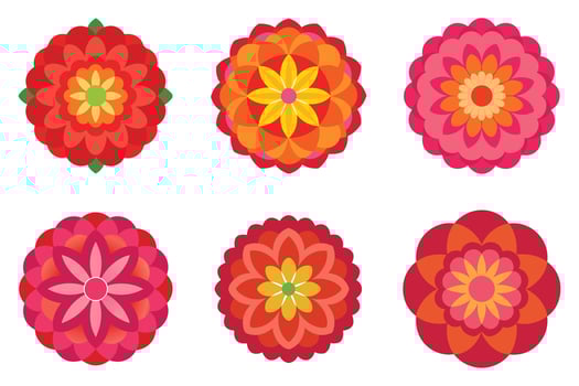 Vibrant Floral Designs for Decorative Use vector