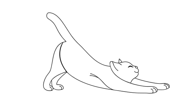 Stretching Cat Happy, Adorable, Line Art, Kitten, Yoga, Feline, Exercise, Cartoon, White Background, vector