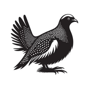 Black Sandgrouse Silhouette Image Download vector