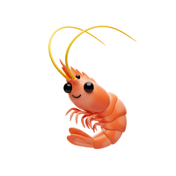 Cute Cartoon Shrimp Character Smiling on White Background for Seafood png