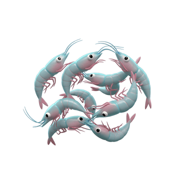 Cartoon Shrimp Grouping Together on White Background for Playful Seafood Concept png